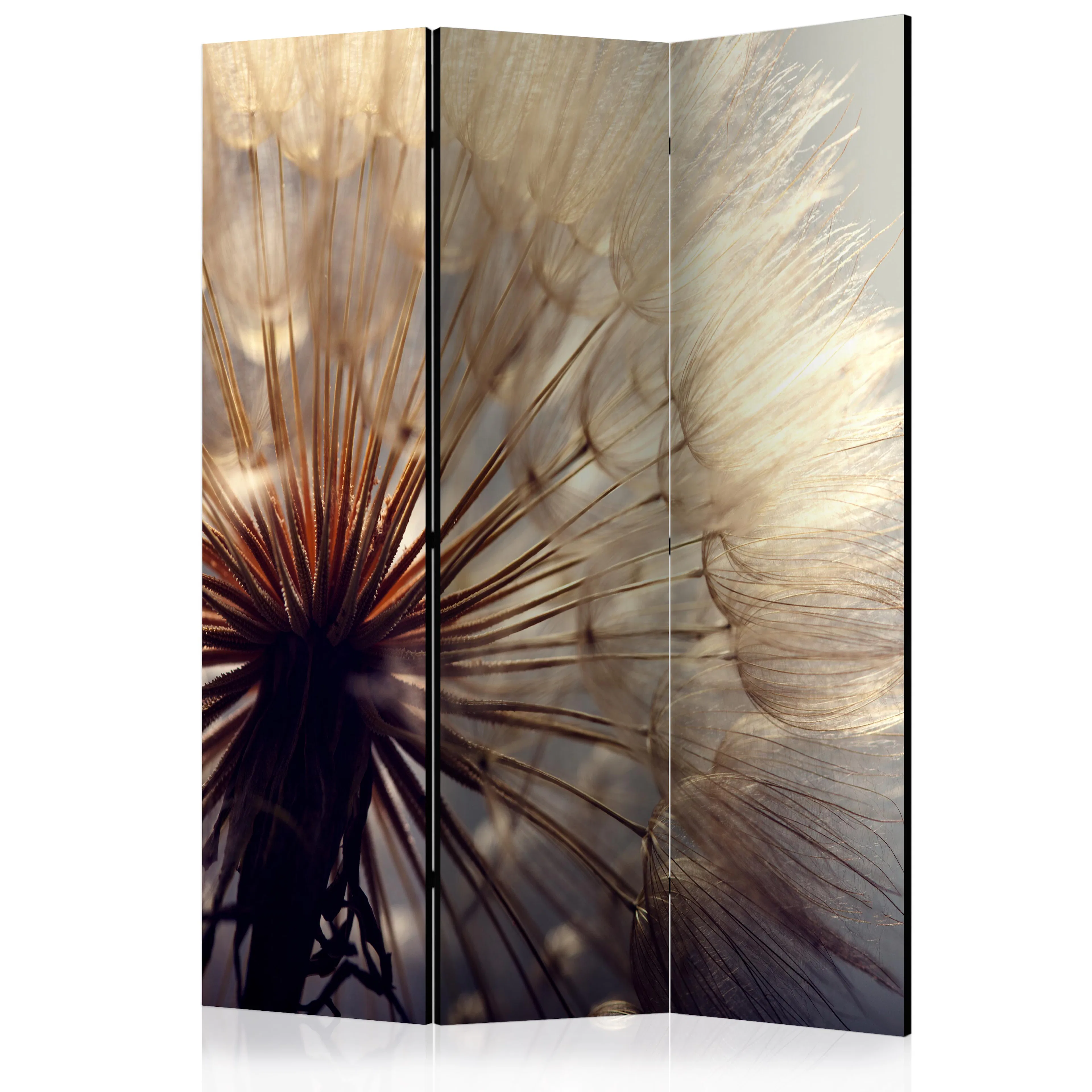 Rumsavdelare Arkiio Dandelion Kiss 135x172 cm