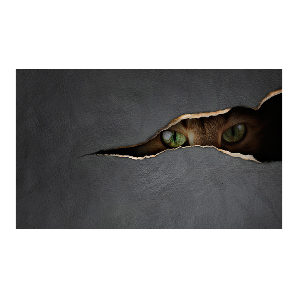 Fototapet Arkiio Kattens blick 450x270 cm