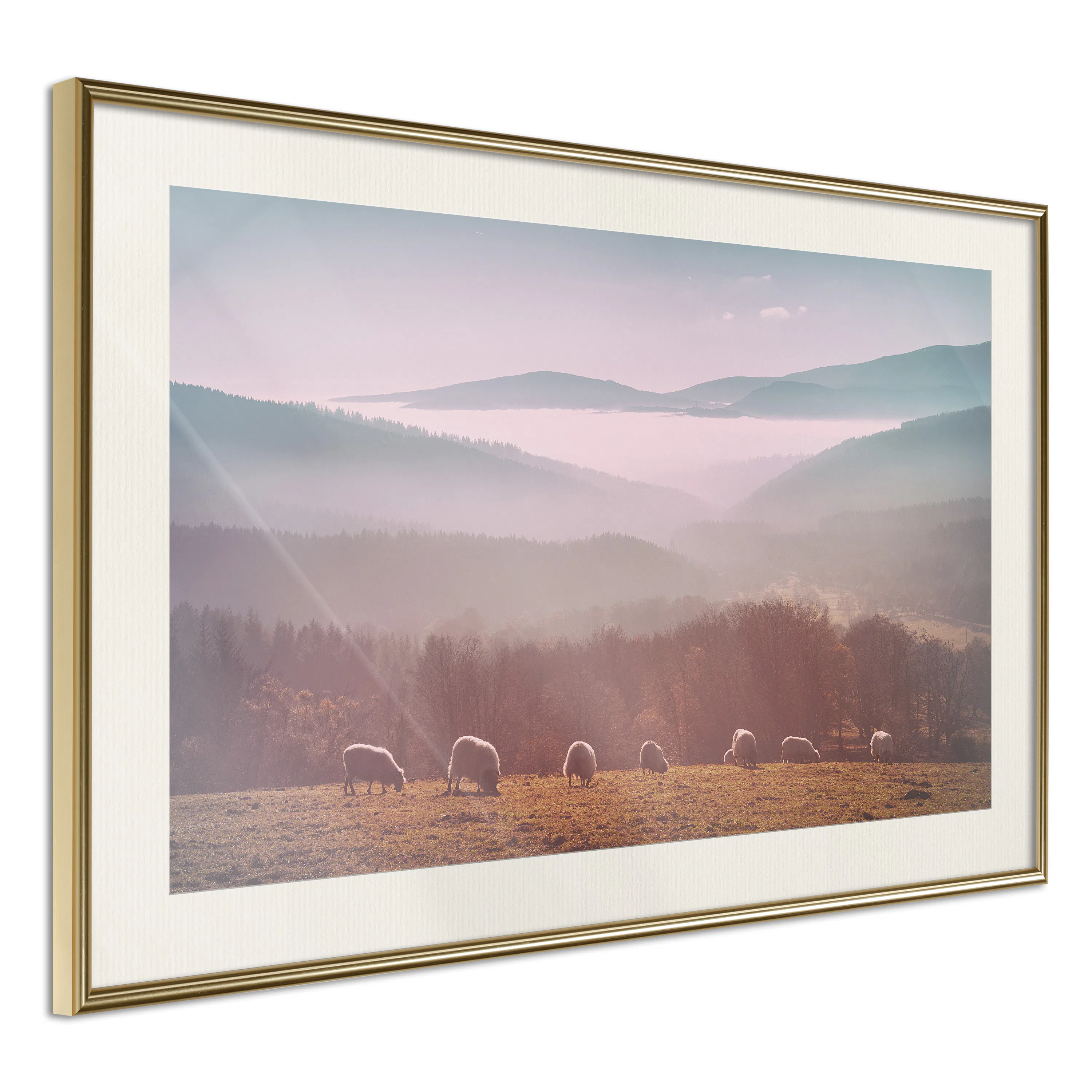Poster Artgeist Affisch Flock of Sheep