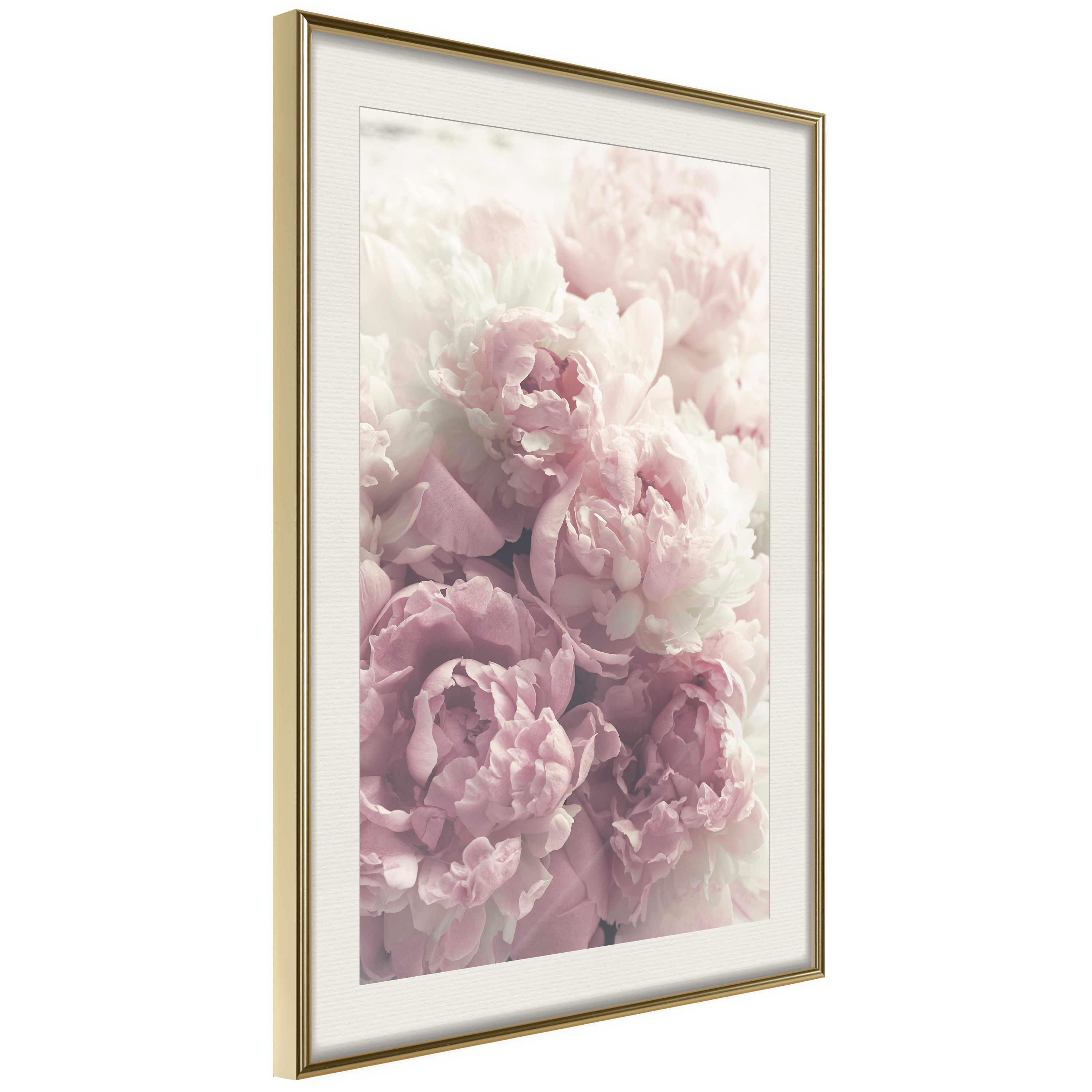Affisch - Delicate Peonies [Poster] 40x60 Guld ram med passepartout, 40x60 cm