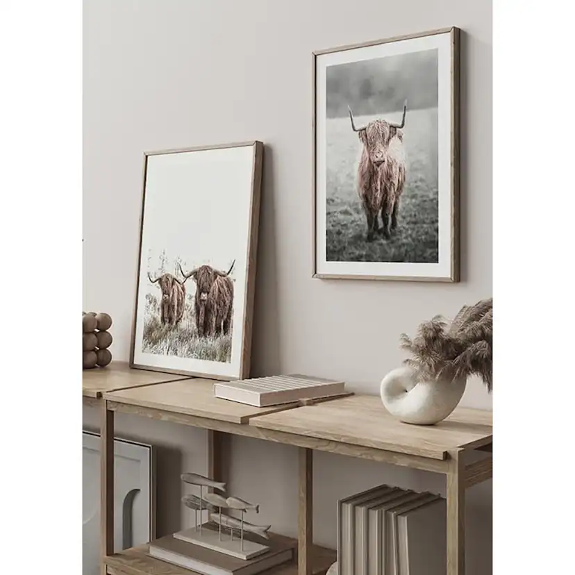 Poster Gallerix Highland Cow