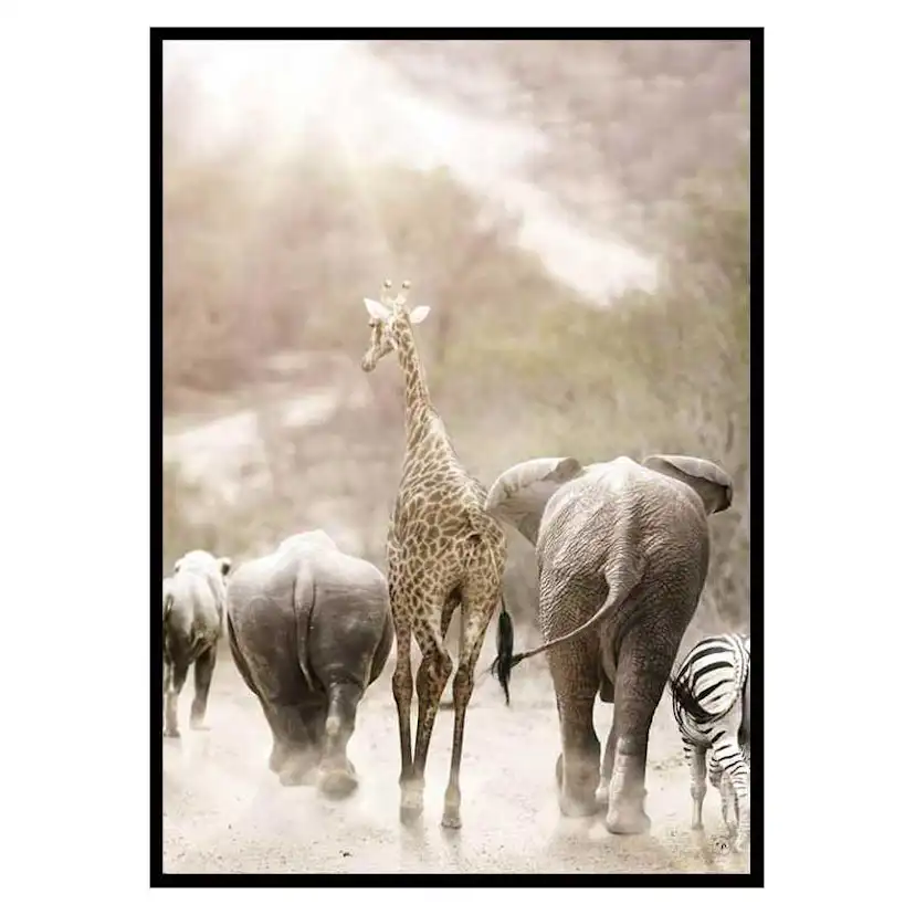 Poster Gallerix Wild African Animals