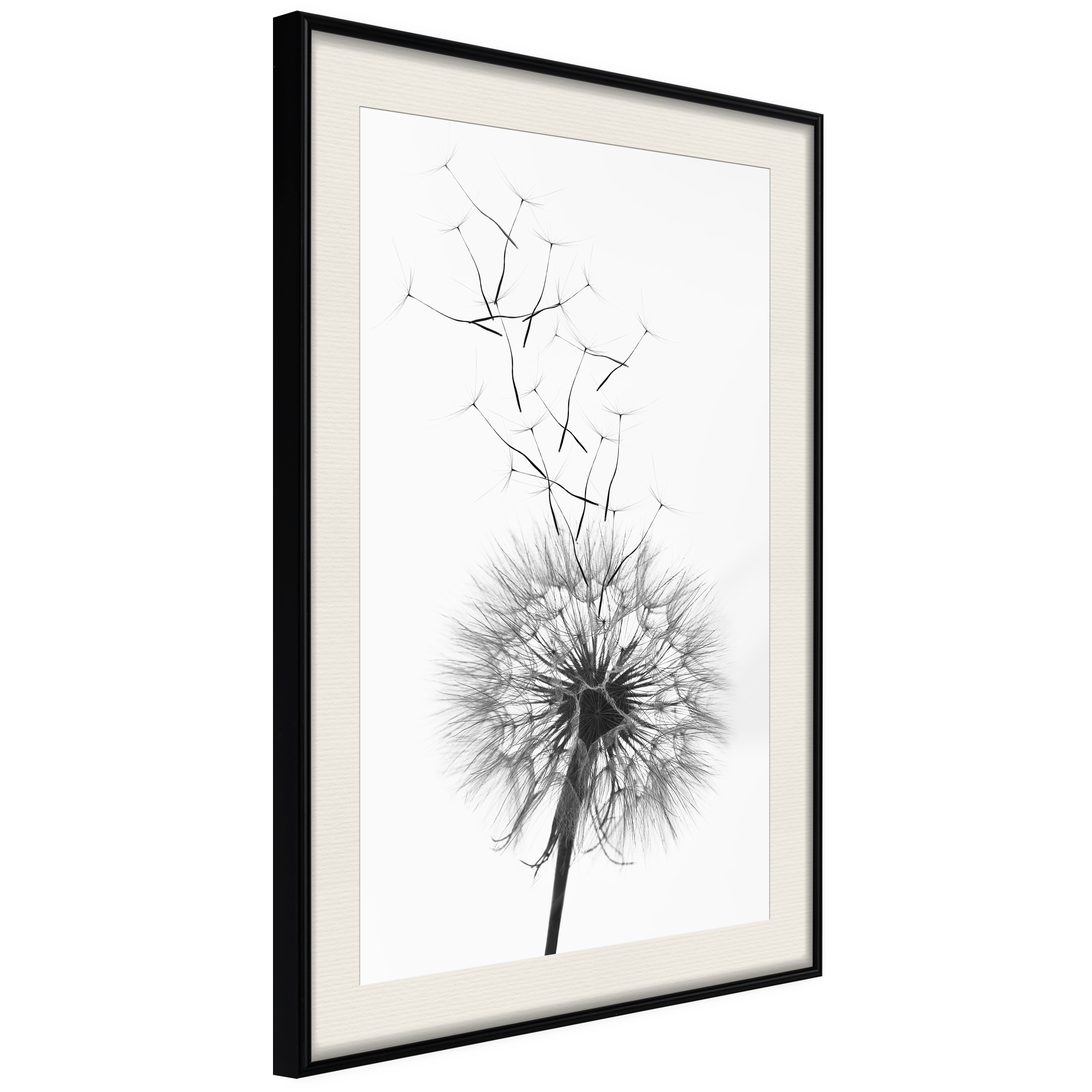 Affisch - Dandelion [Poster] 20x30 Svart ram med passepartout, 20x30 cm