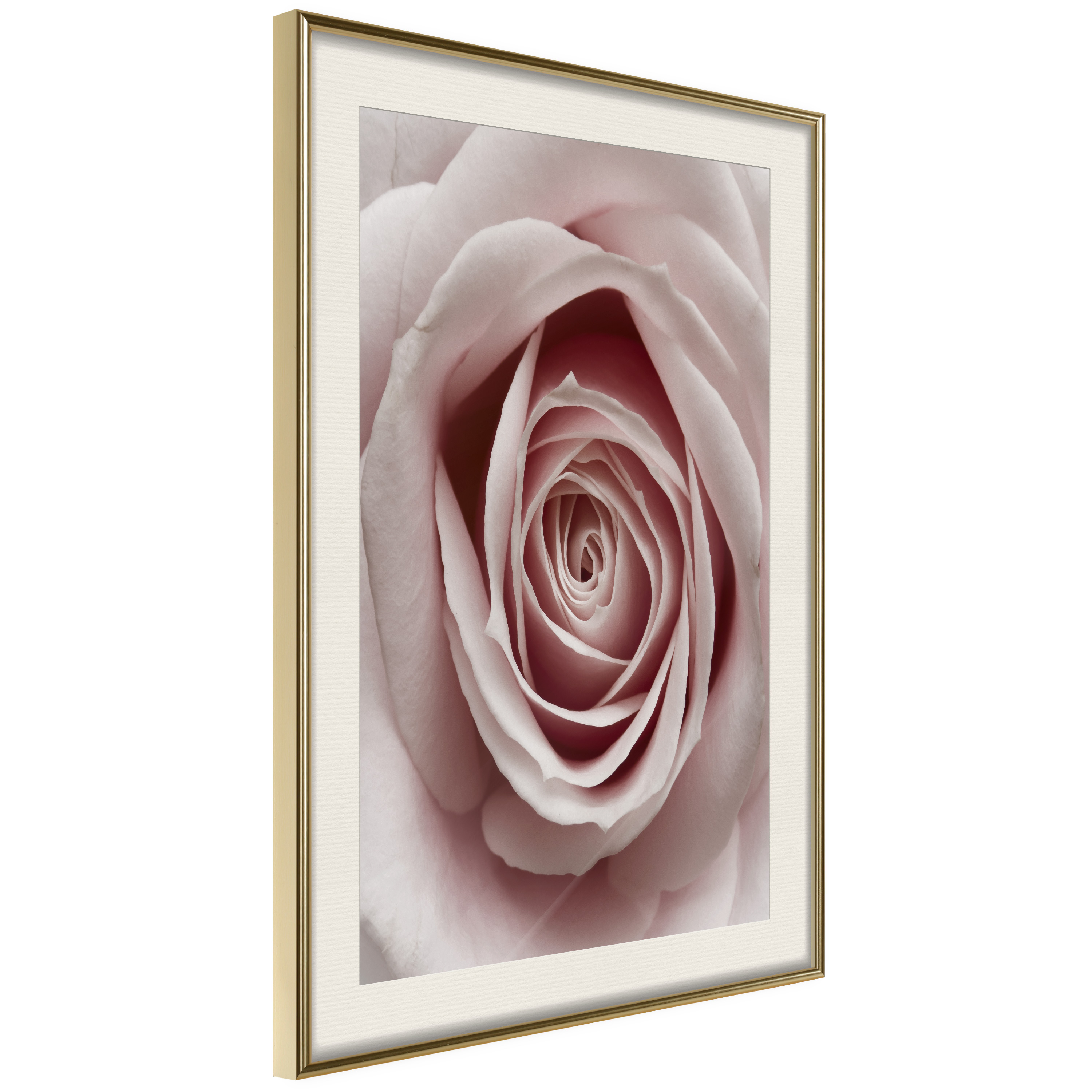 Affisch - Pastel Rose [Poster] 20x30 Guld ram med passepartout, 20x30 cm