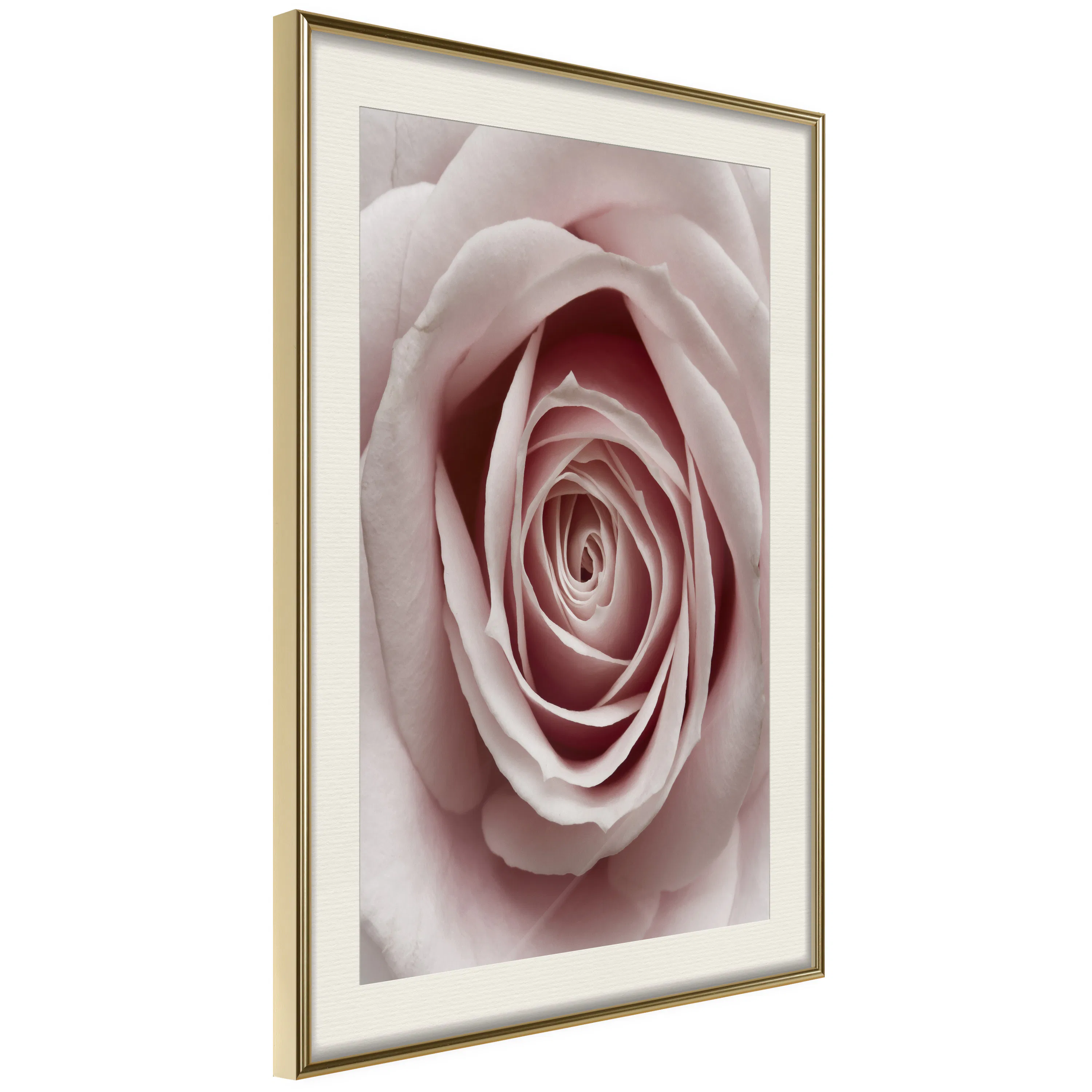 Poster Artgeist Affisch Pastel Rose