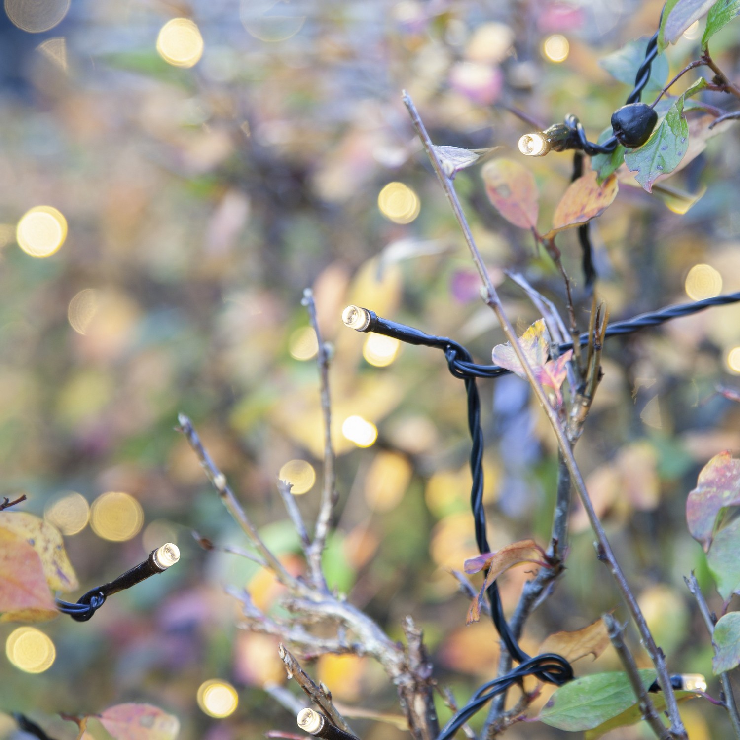 Ljusslinga Star Trading Extra System Decor 100L