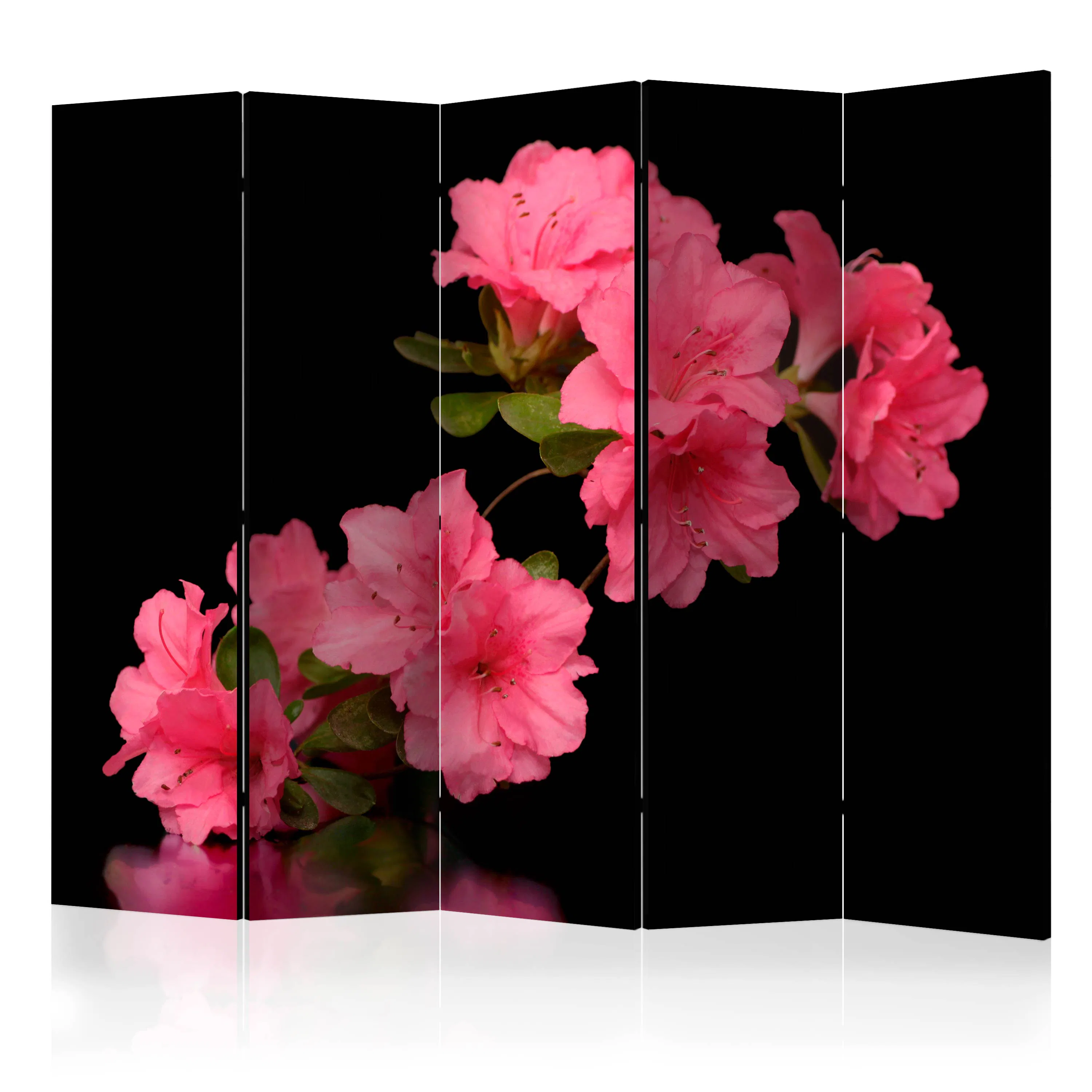 Rumsavdelare Arkiio Azalea in Black II 225x172 cm