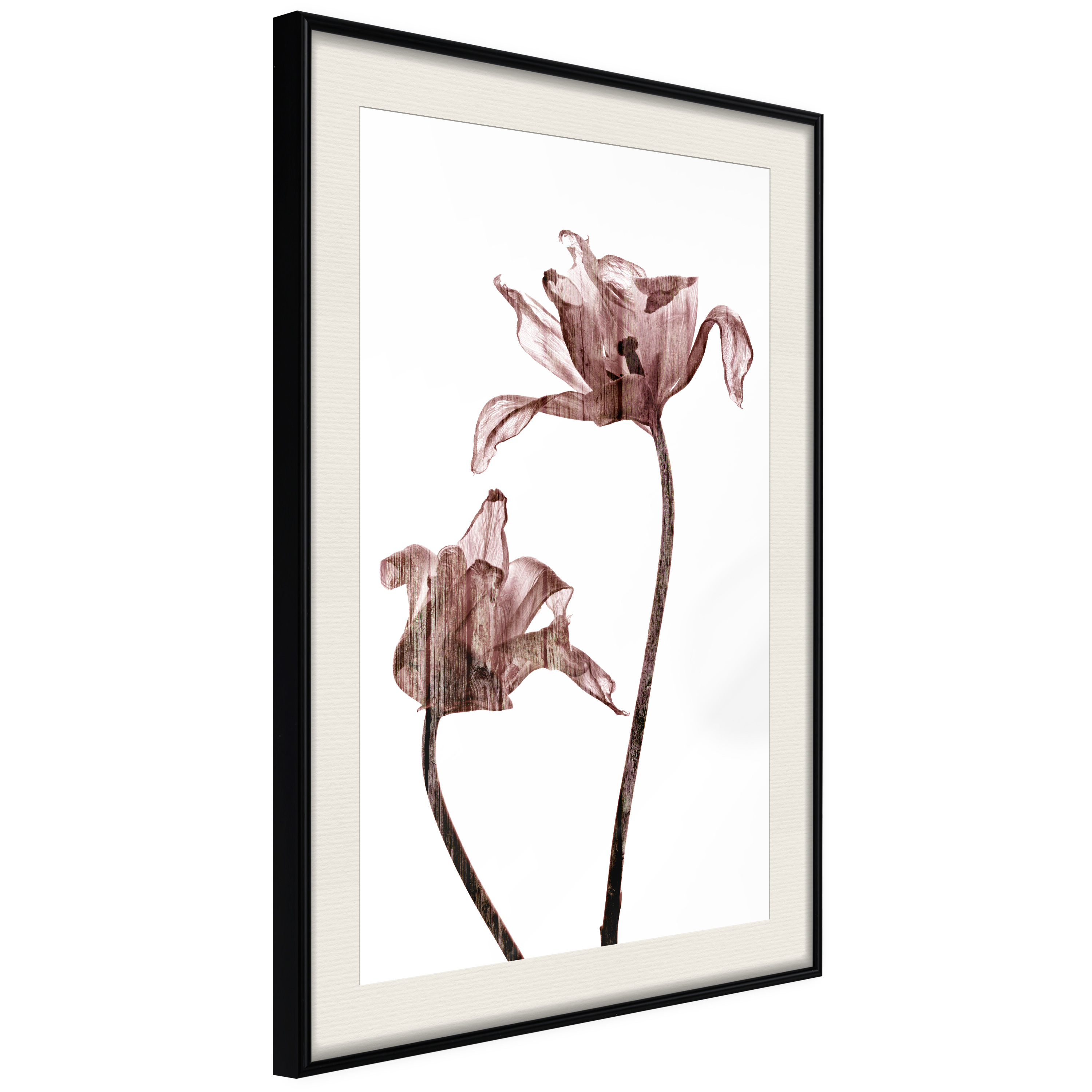 Affisch - Illuminated Closeness [Poster] 20x30 Svart ram med passepartout, 20x30 cm