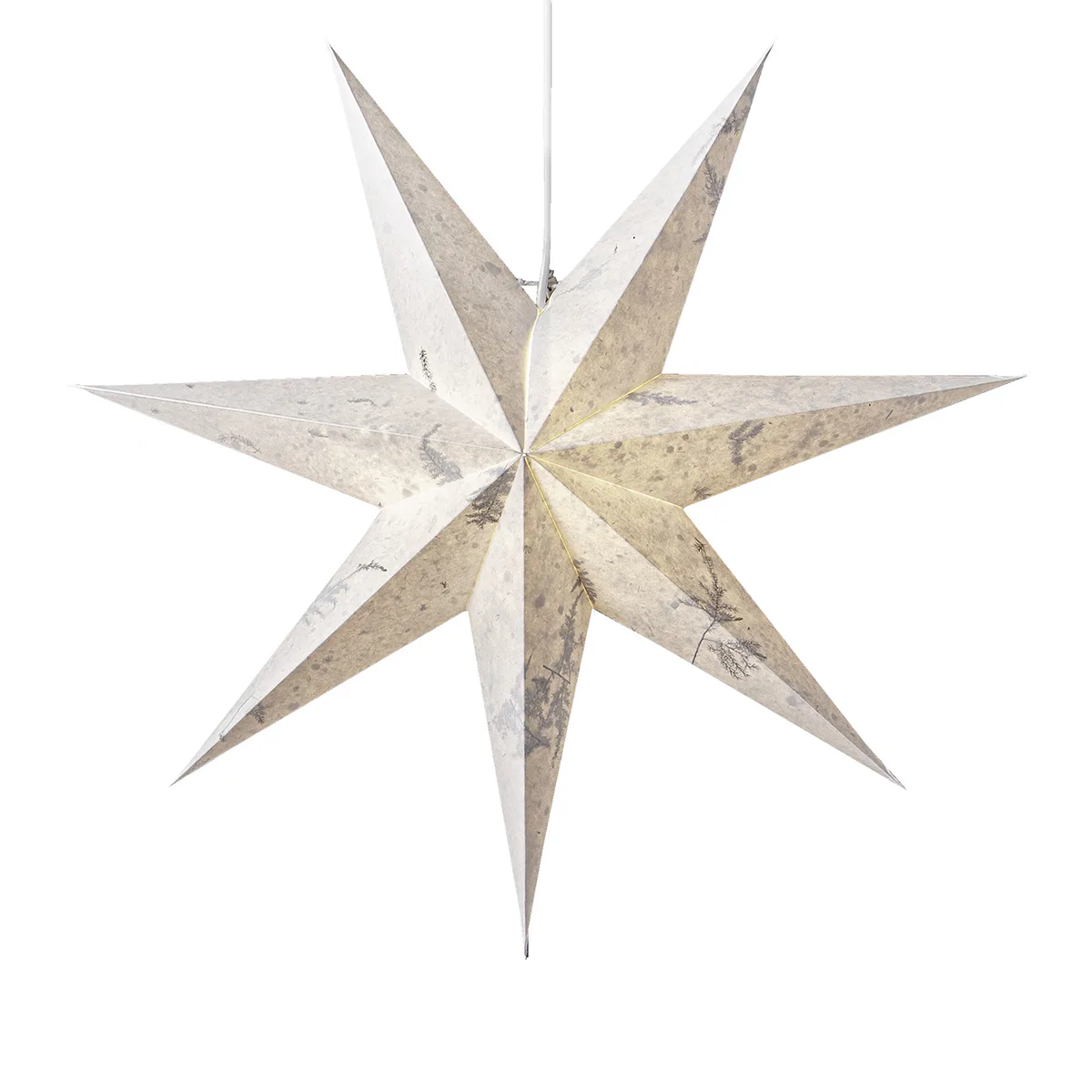 Adventsstjärna Star Trading Care Pappersstjärna
