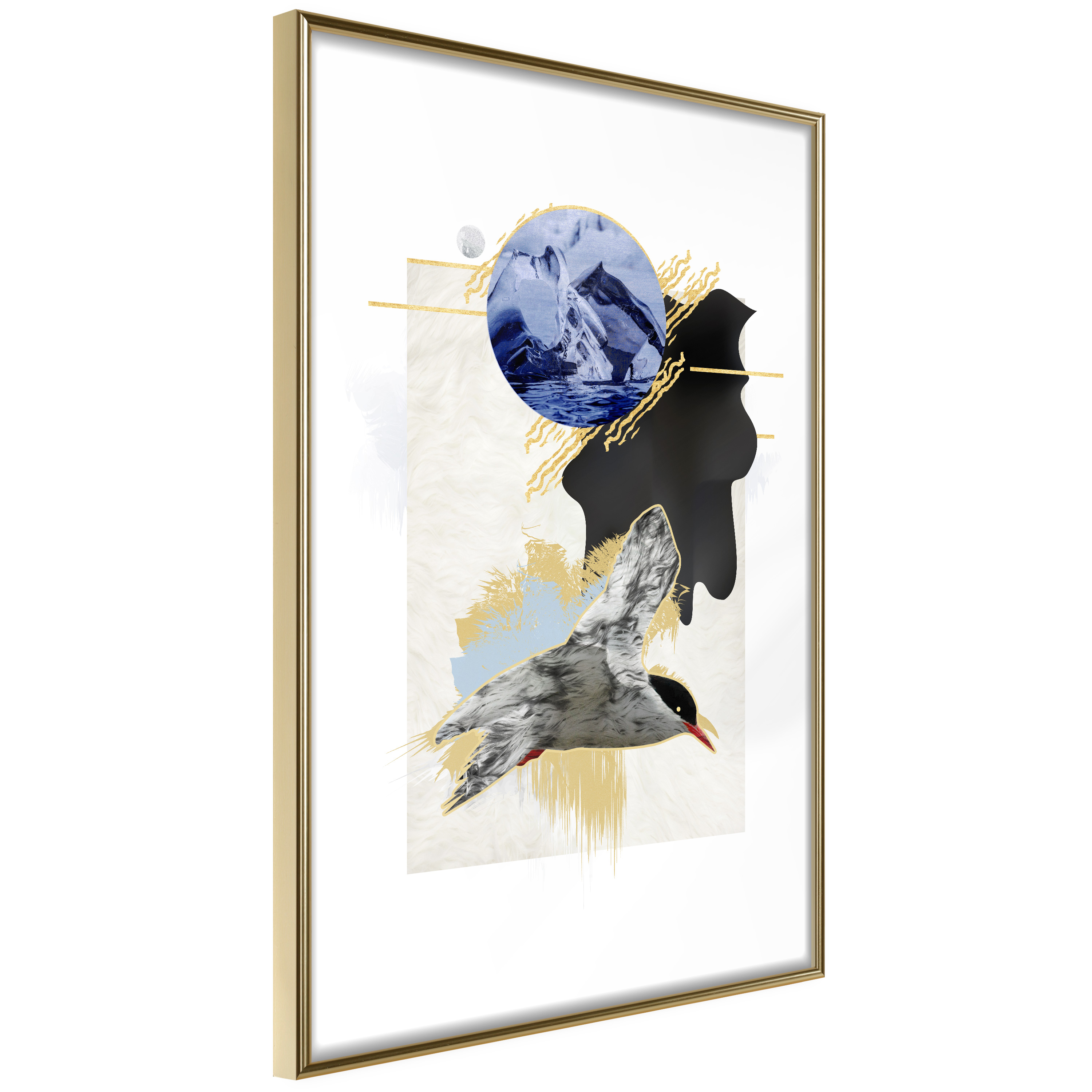Poster Artgeist Affisch Antarctic Tern