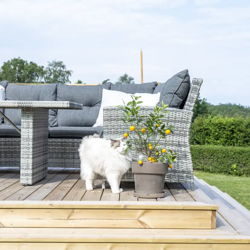 Hörnsoffa Venture Home London Utomhus Utomhus