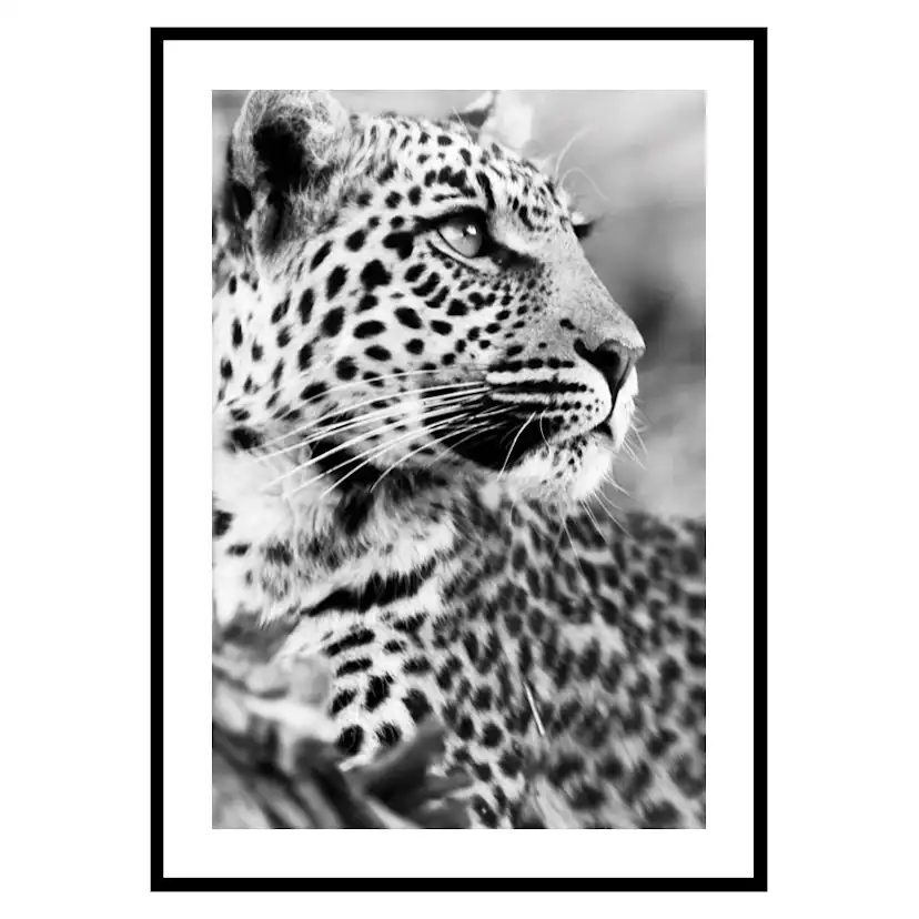 Poster Gallerix Leopard B&W