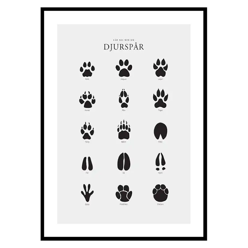 Poster Gallerix Djurspår