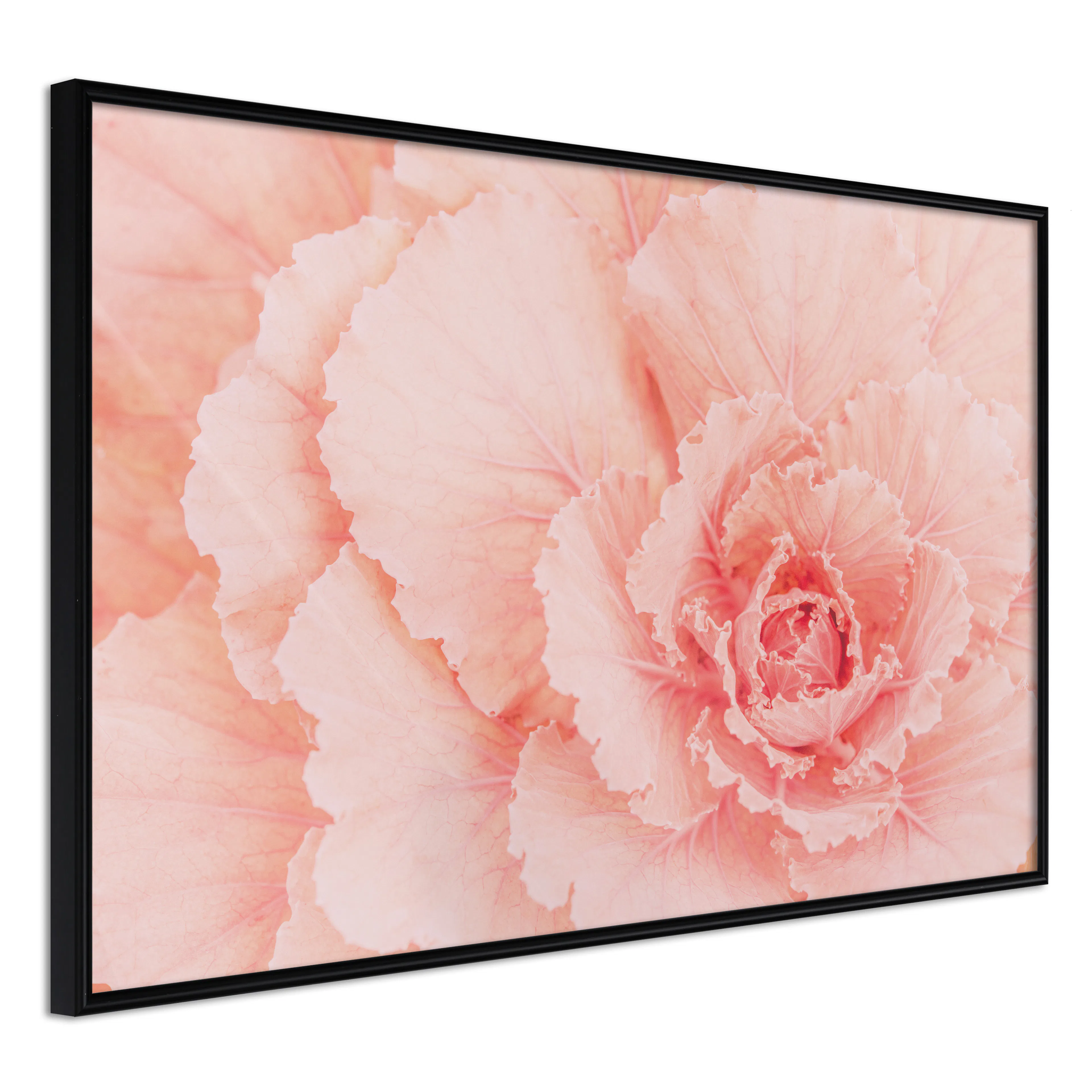Affisch - Artistry of Delicacy [Poster] 60x40 Svart ram, 60x40 cm