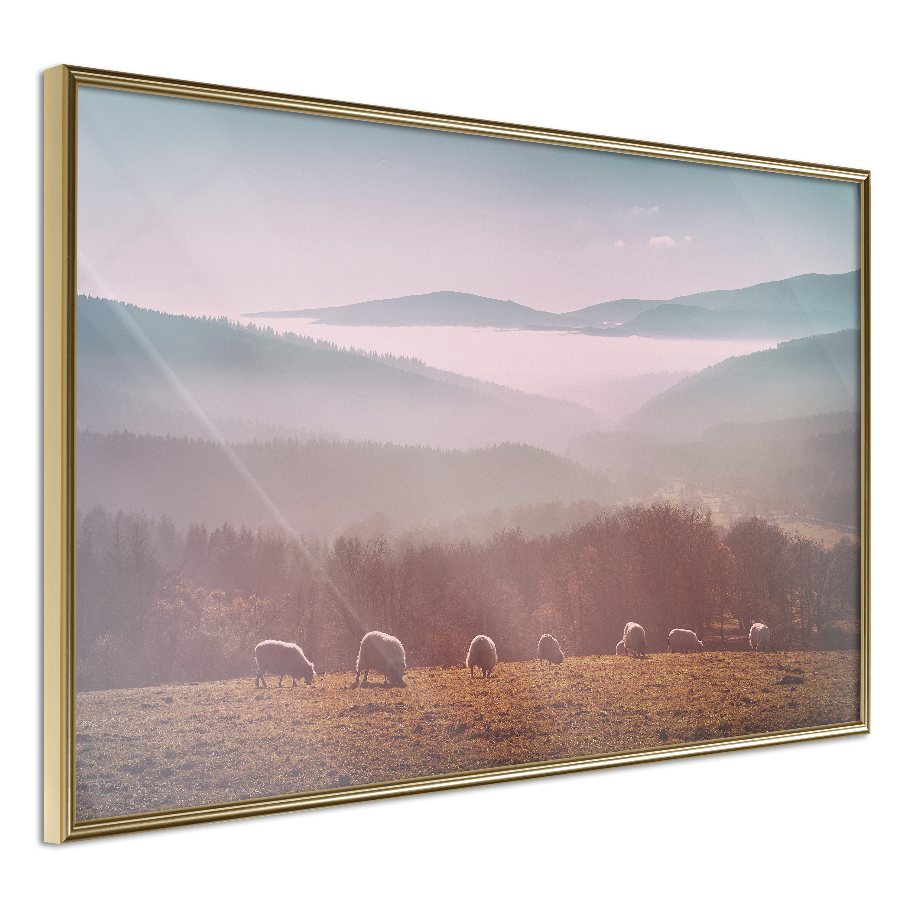 Affisch - Flock of Sheep [Poster] 60x40 Guld ram, 60x40 cm