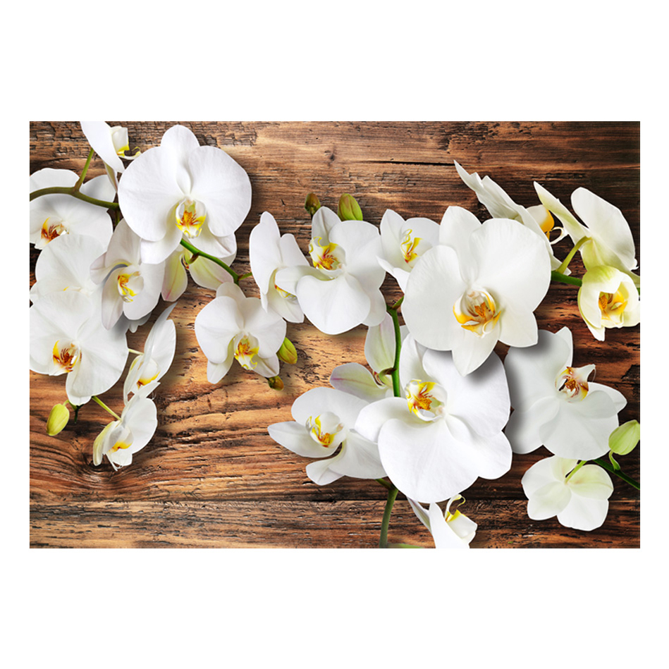 Fototapet Arkiio Forest Orchid