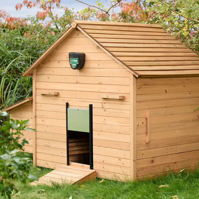 Lucköppnare Brinsea ChickSafe Eco Inkl. Dörr