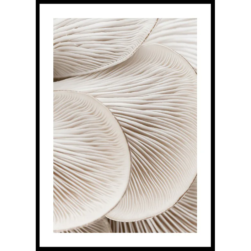 Mushrooms Close Up 30x40 30x40 cm