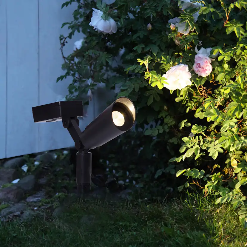 Solcells-spotlight Star Trading Powerspot 2-pack