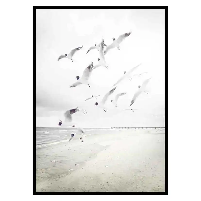 Poster Gallerix Black-Headed Seagulls