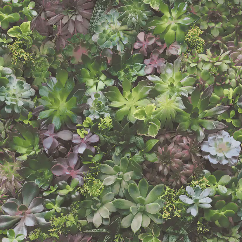 Tapet Galerie Wallcoverings Evergreen 7322