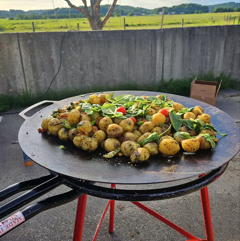 Stekhäll Bluegaz Timsfors 70 cm