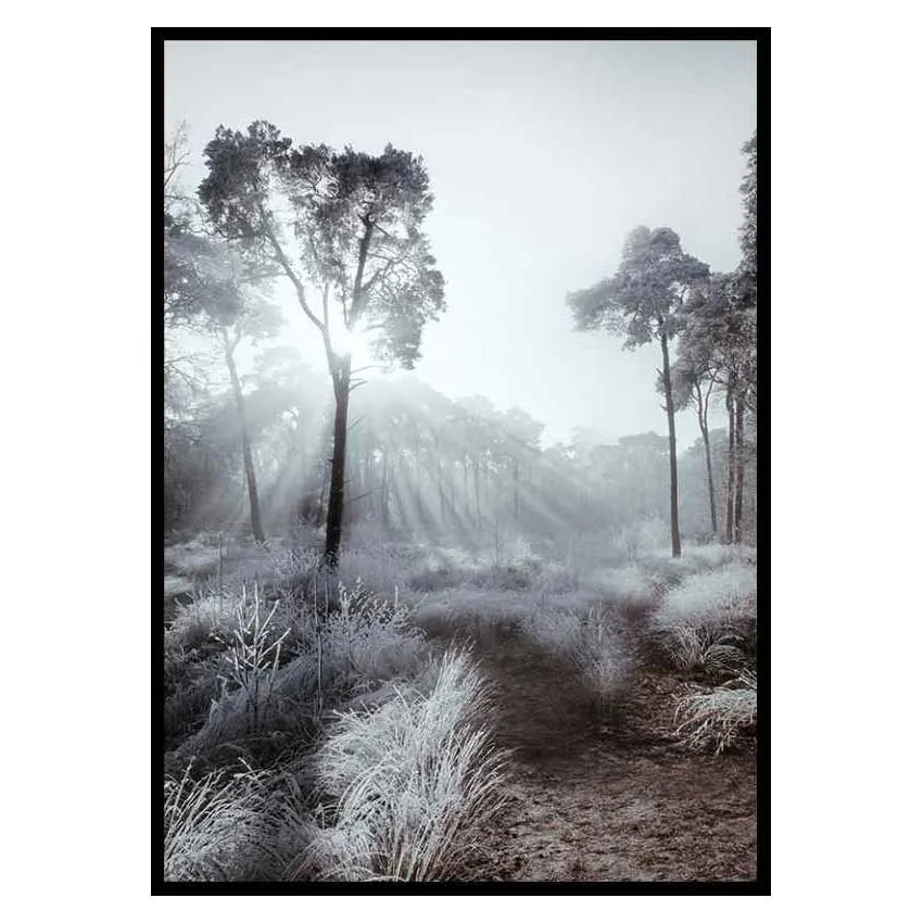 Poster Gallerix Winter Sunrays