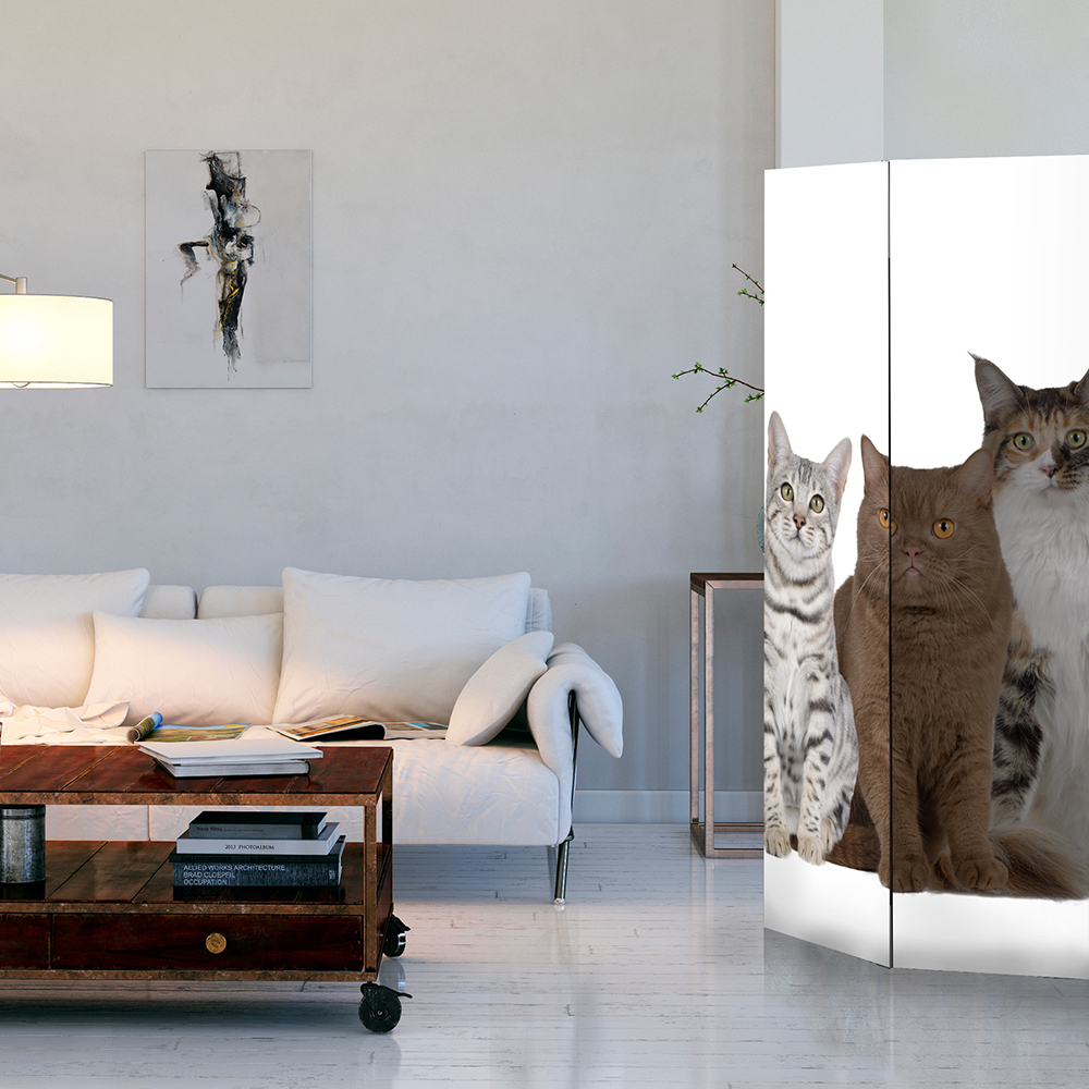 Rumsavdelare Arkiio Sweet Cats 135x172 cm