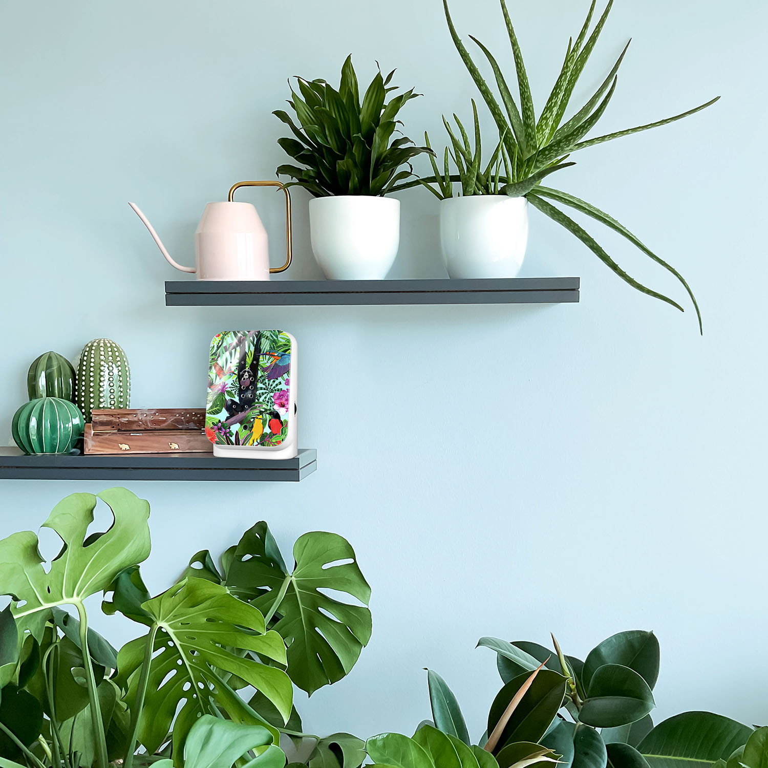 Junglebox Speldosa Tropic Djungeldjur/Tropic