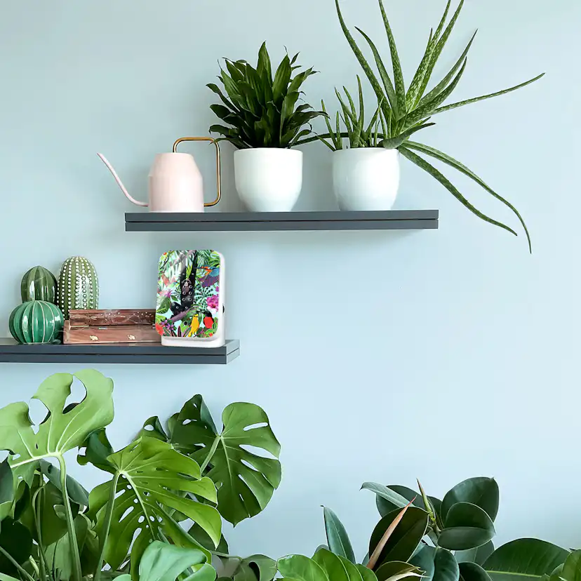 Junglebox Speldosa Tropic Djungeldjur/Tropic
