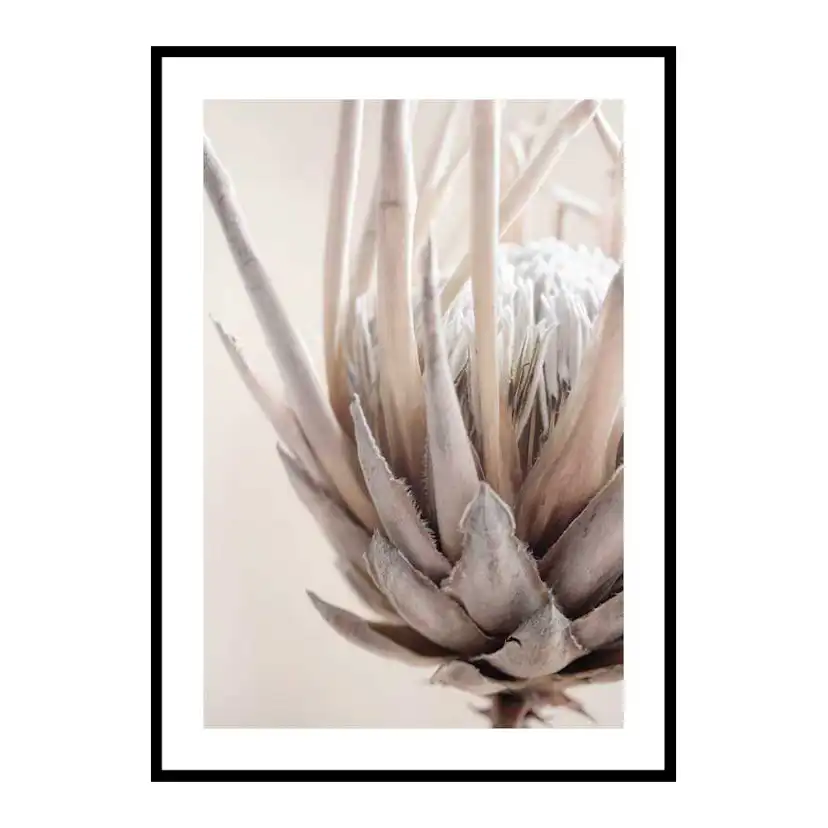 Protea Flower No2 30x40 cm