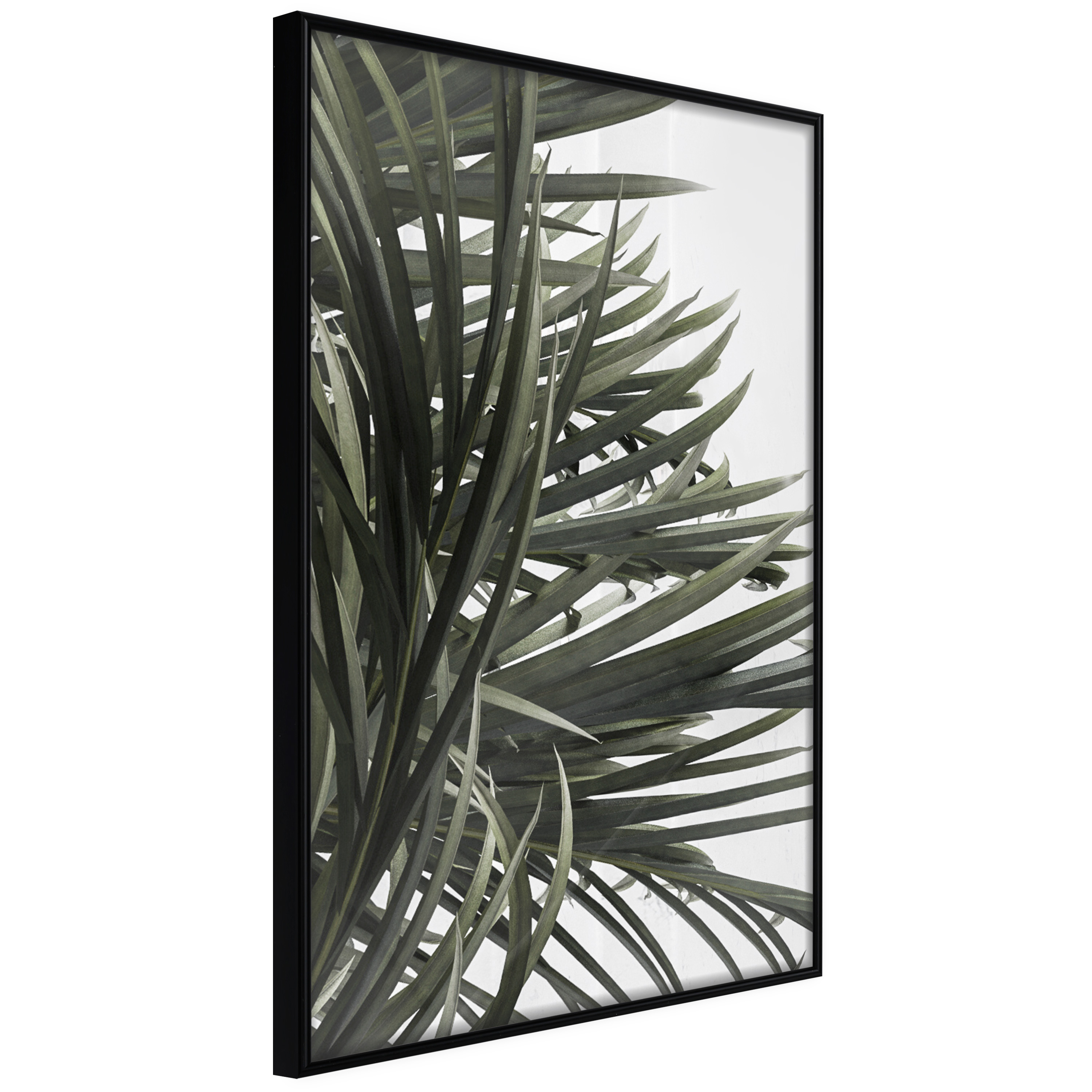 Affisch - In the Shade of Palm Trees [Poster] 30x45 Svart ram, 30x45 cm