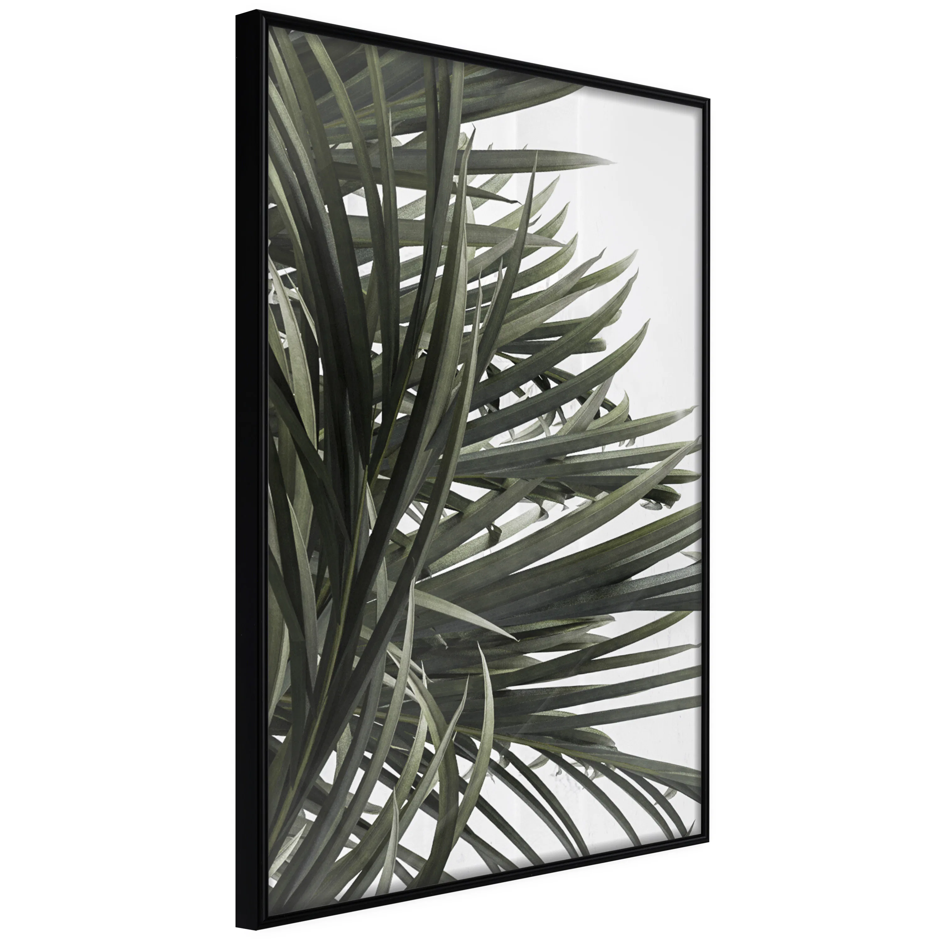 Poster Artgeist Affisch In the Shade of Palm Trees