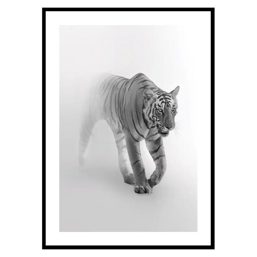 Poster Gallerix Faded Tiger