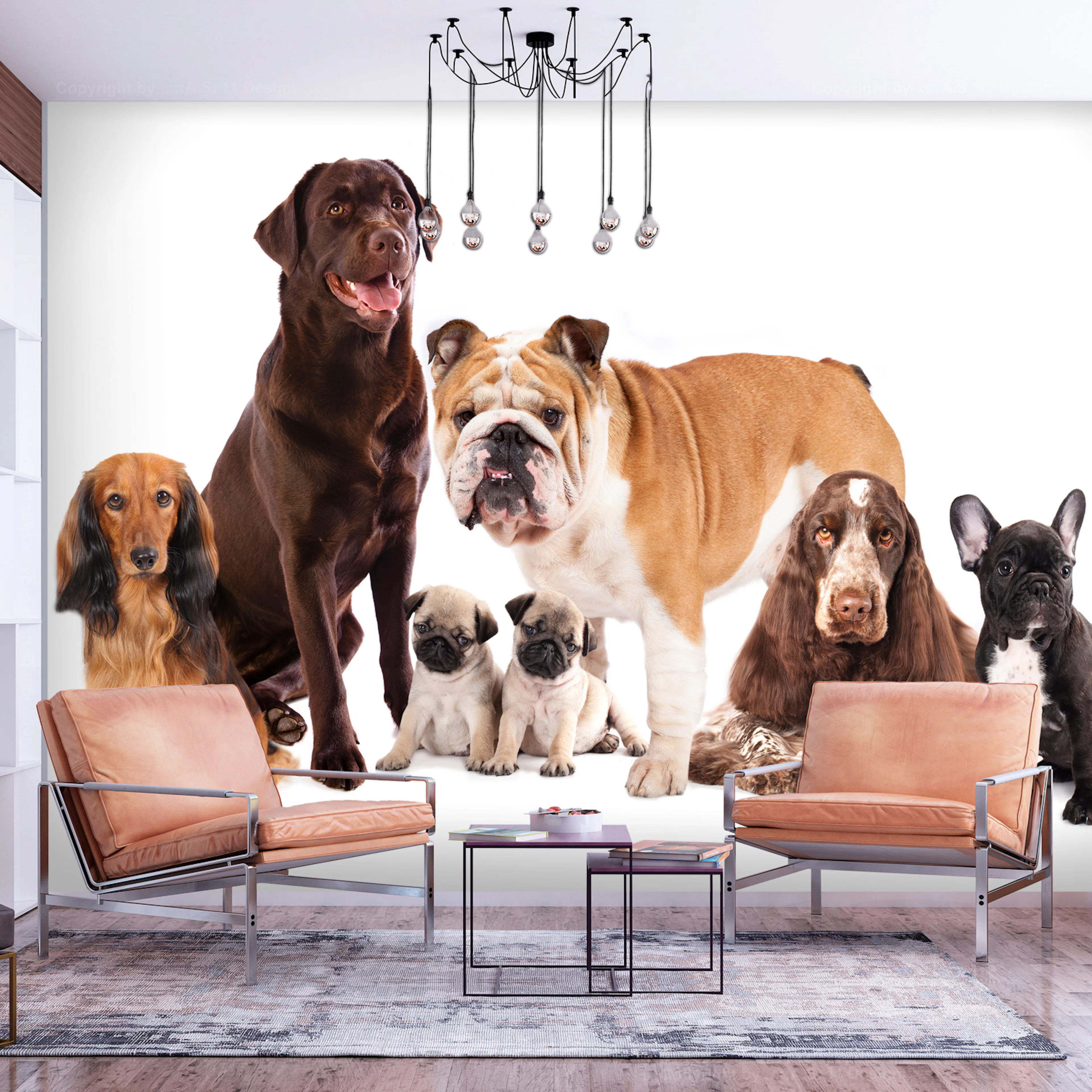 Fototapet - Dog Integration 450x315 450x315 cm