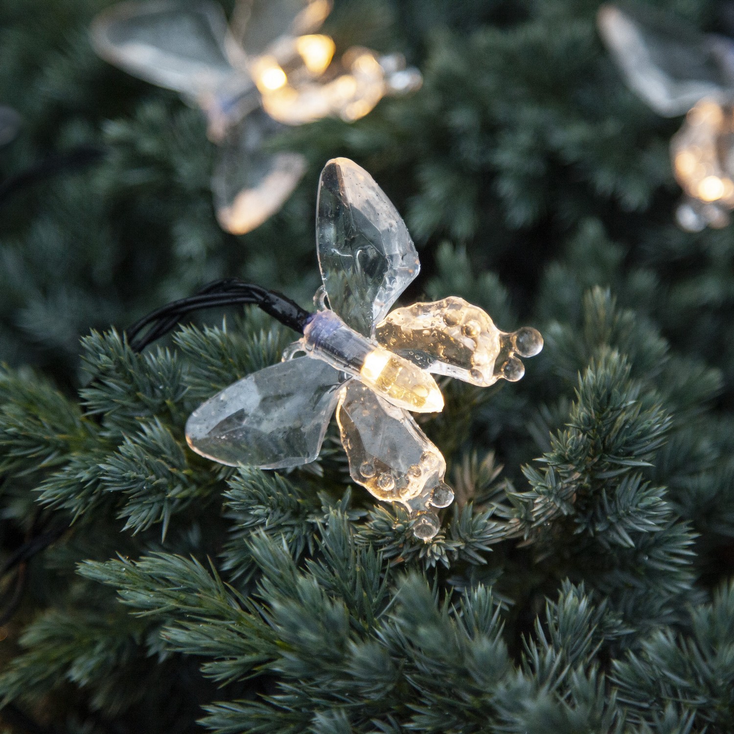 Solcells-Ljusslinga Star Trading Papillon