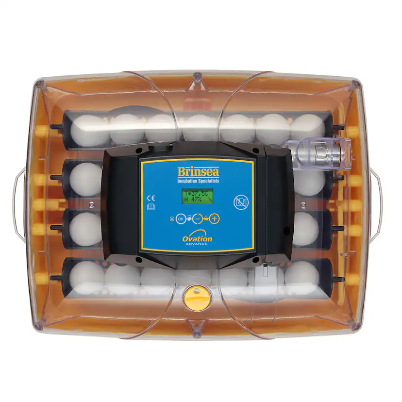 Äggkläckare Brinsea Ovation 28 Advance