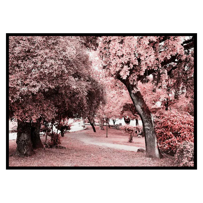 Poster Gallerix Pink Trees No1