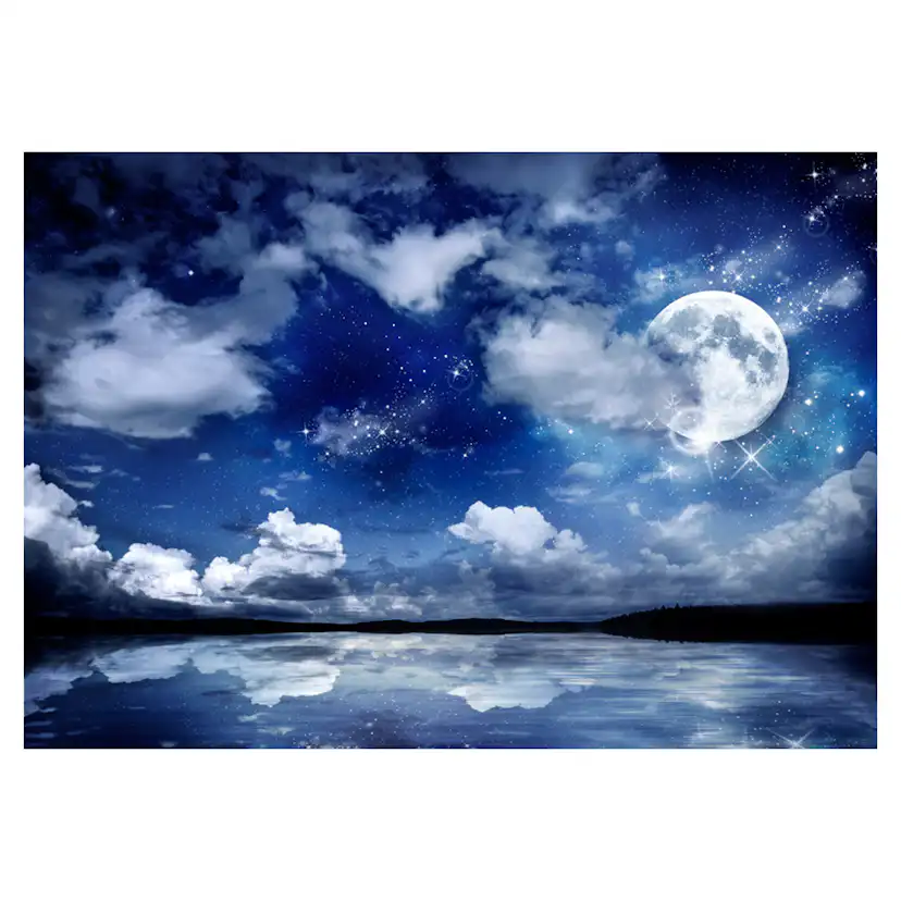 Fototapet Arkiio Magic Night