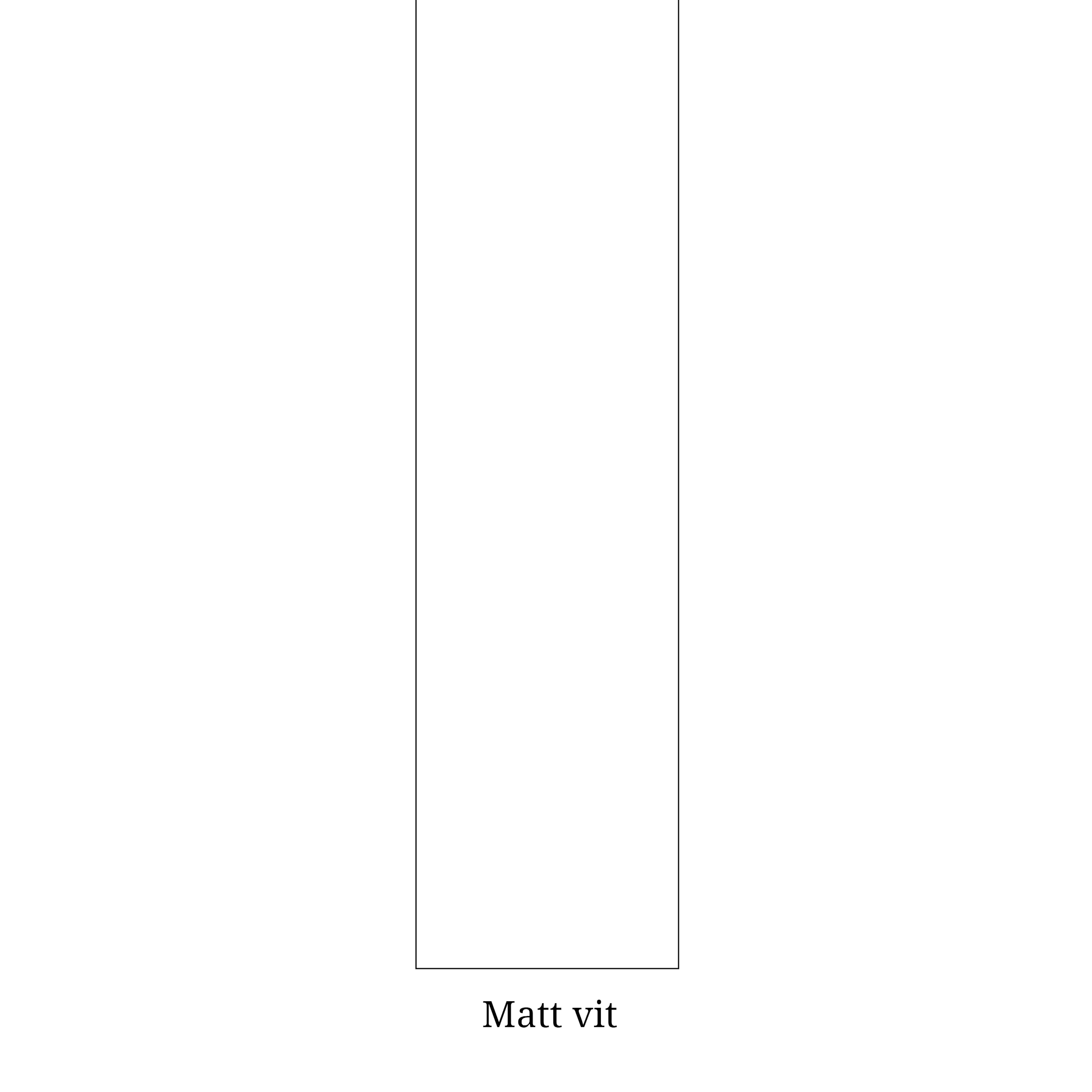 Matt Vit