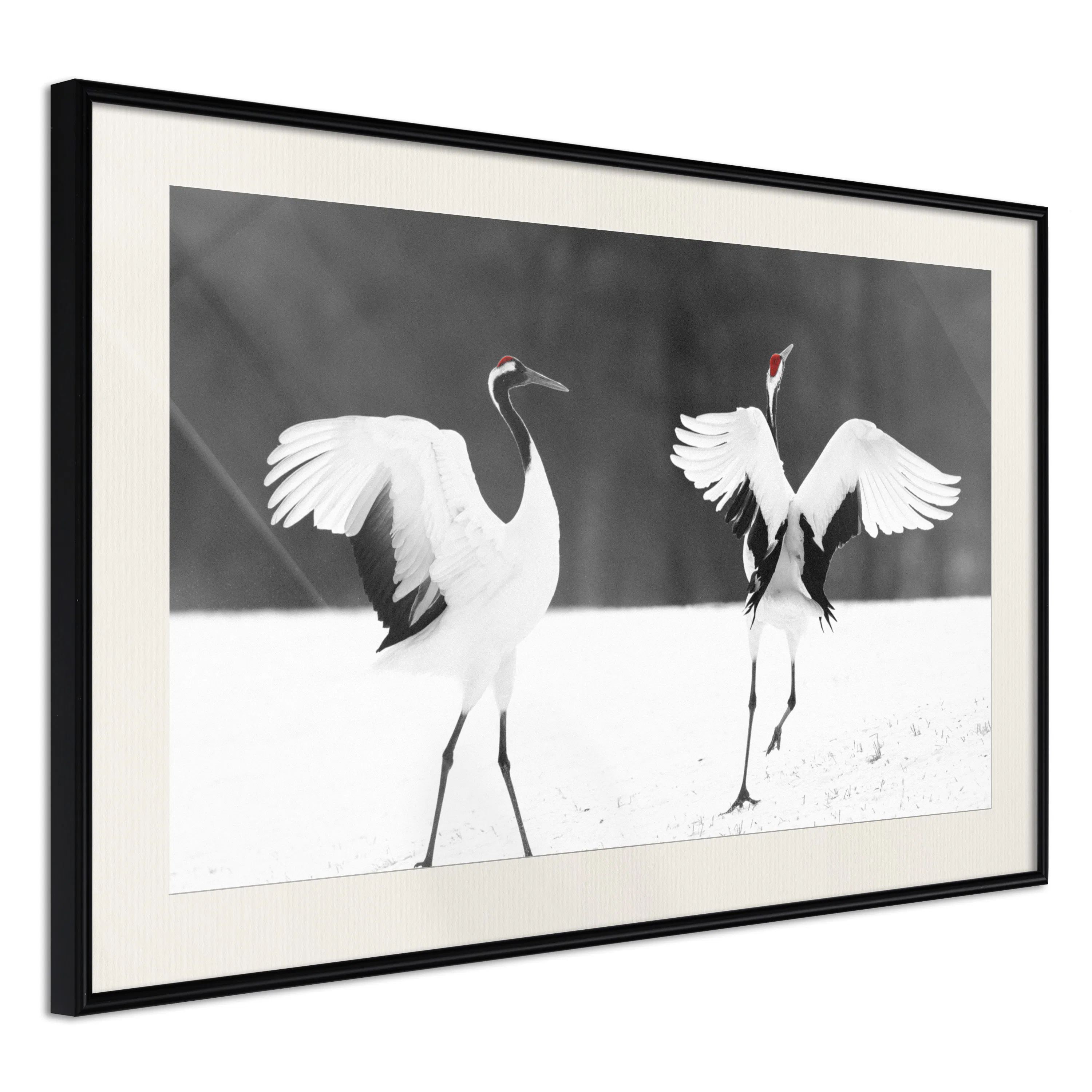 Poster Artgeist Affisch Dancing Cranes