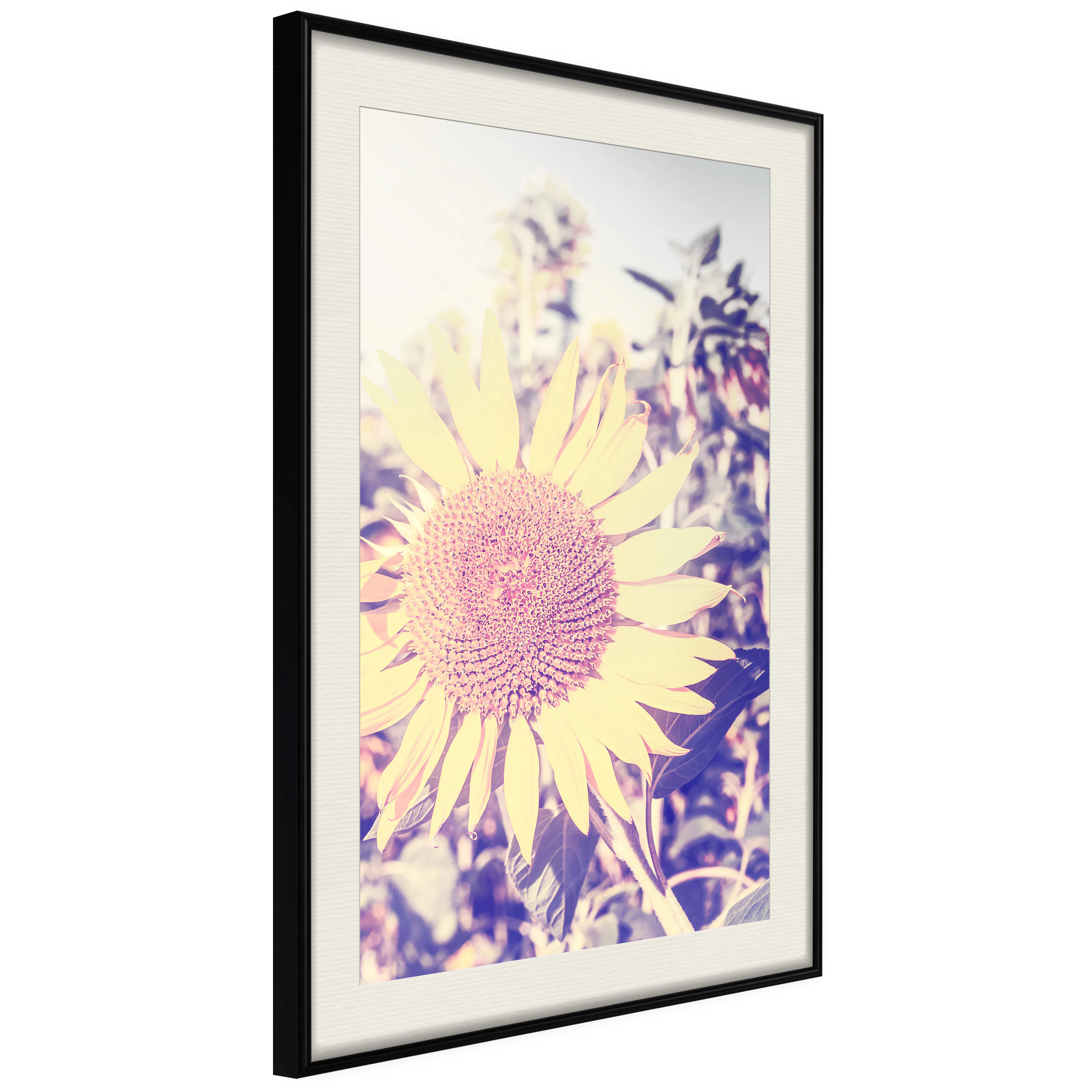 Poster Artgeist Affisch Sunflower