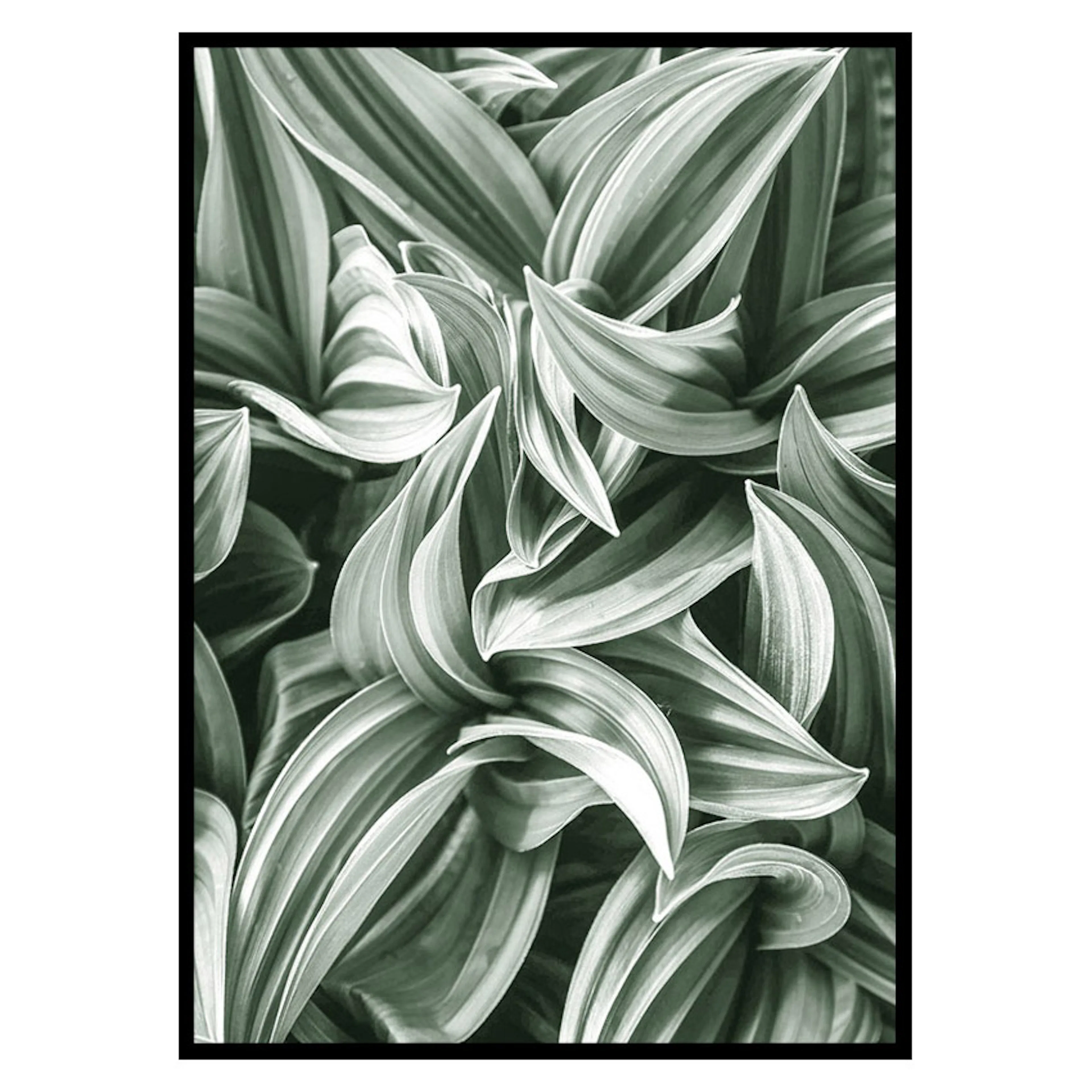 Poster Gallerix Bright Green Botanical No2