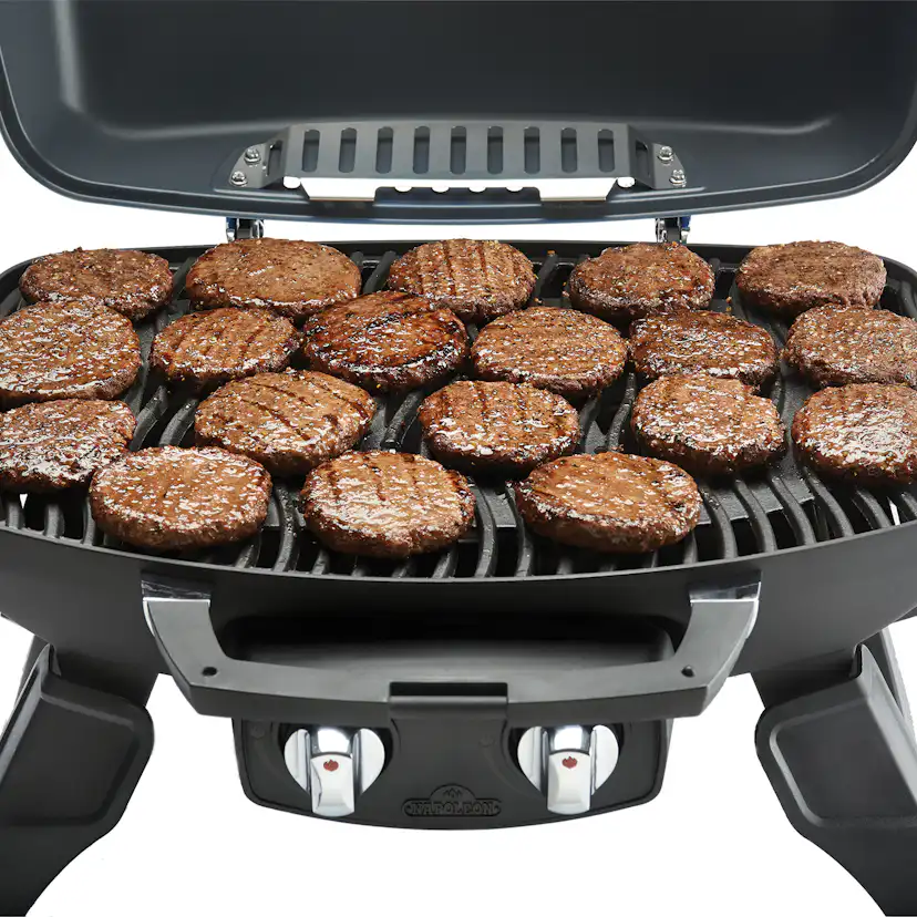 Gasolgrill Napoleon TQ285-1 Bärbar Grill i Rostfritt Stål & Gjutjärnsgaller