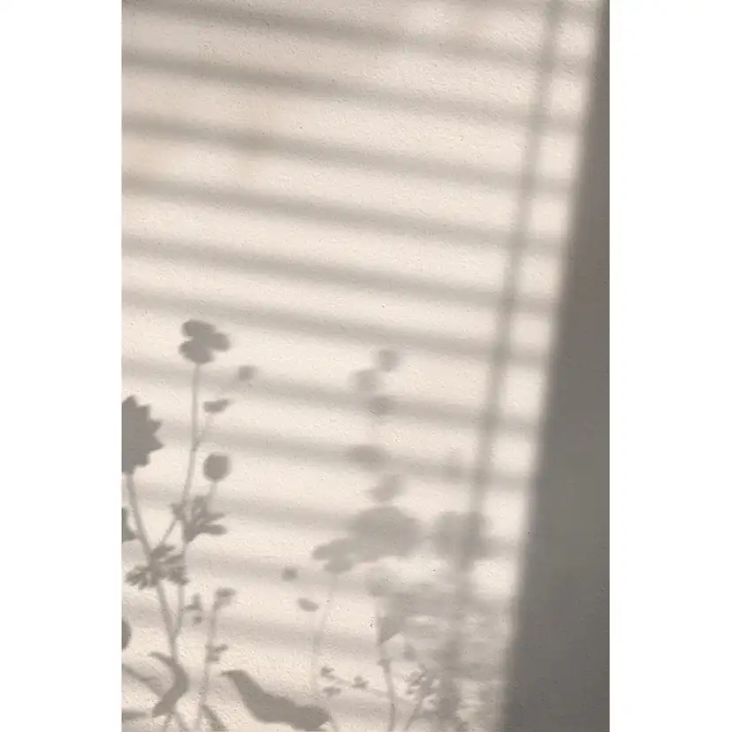 Posters Venture Home Flower Shadow Vit