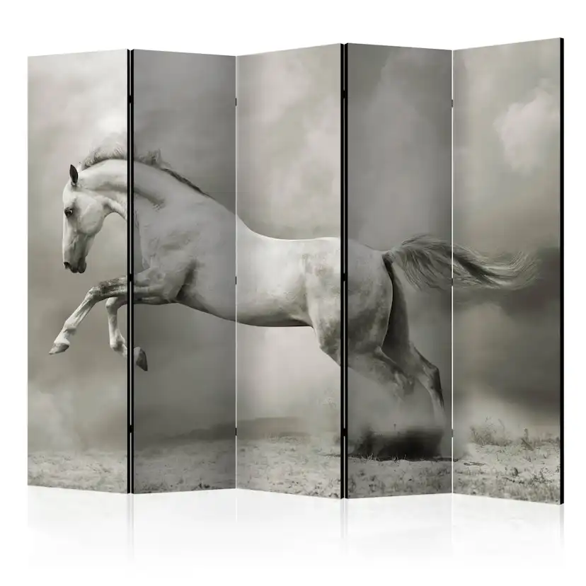 Rumsavdelare Arkiio Wild Stallion II 225x172 cm