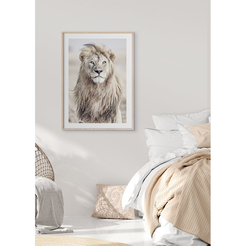 Poster Gallerix Majestic Lion Color