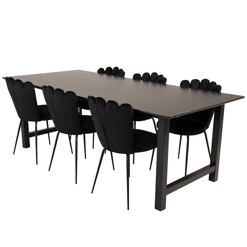 Matgrupp furniture/fashion Clara med 6 Limhamn Light Stolar