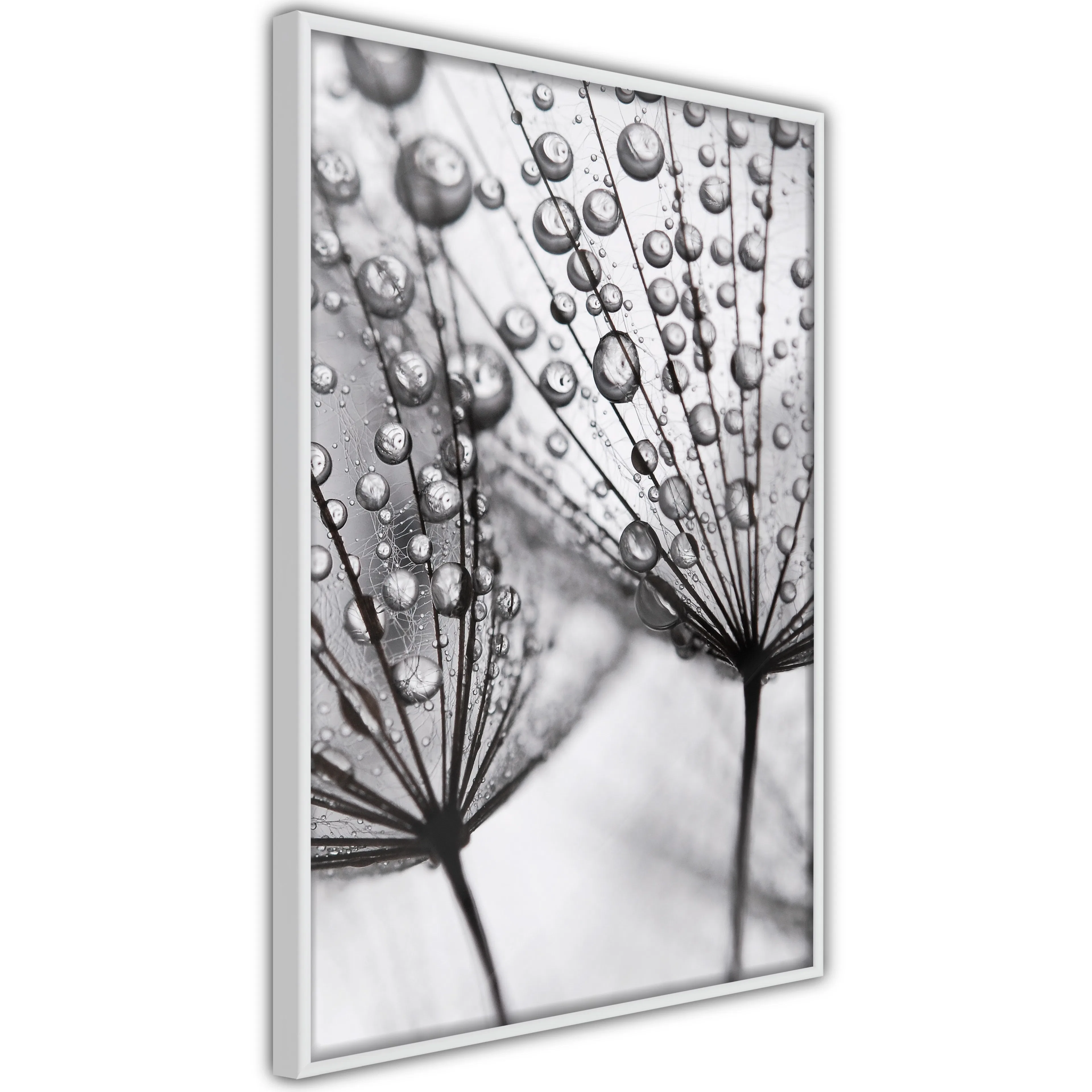 Poster Artgeist Affisch Morning Dew