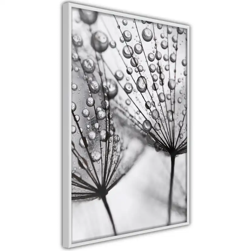 Poster Artgeist Affisch Morning Dew